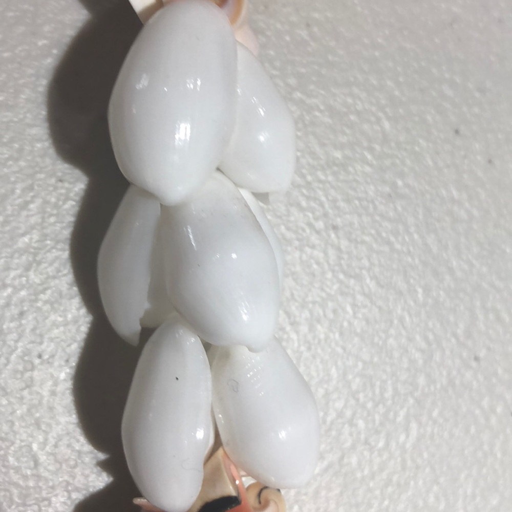 Nwot Extra Large Shells &Kukui Nuts Necklace - image 3